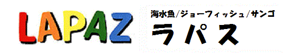 ラパス